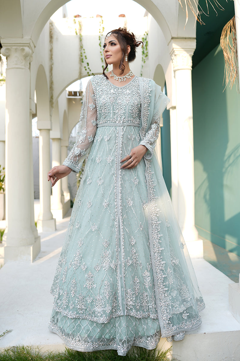 🌟 Gorgeous Pakistani Bridal Dress: Embroidered Ice-Pista Maxi Elegance ✨